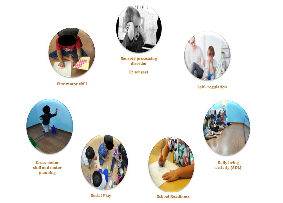 Areas of child development supported by occupational therapy